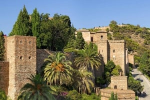 Málaga: Alcazaba en historisch stadscentrum Privétour