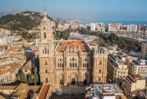 Málaga: Alcazaba en historisch stadscentrum Privétour