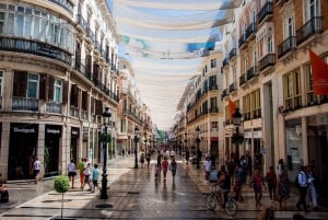 Málaga: Alcazaba en historisch stadscentrum Privétour