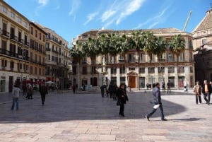 Málaga: Alcazaba en historisch stadscentrum Privétour