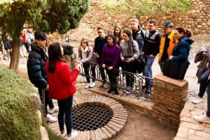 Malaga: Alcazaba i wycieczka z przewodnikiem po teatrze rzymskim z wejściem
