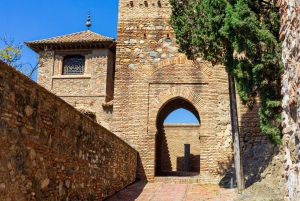 Málaga: Tour particular com ingressos pela Alcazaba e pelo Teatro Romano