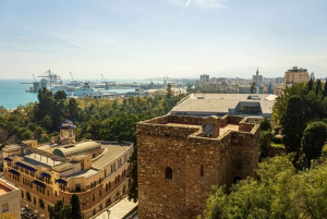 Málaga: Tour particular com ingressos pela Alcazaba e pelo Teatro Romano