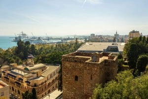 Malaga: Alcazaba og romersk teater - privat tur med billetter