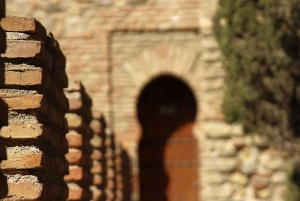 Malaga: tour privato dell'Alcazaba e del teatro romano con biglietti