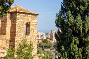 Málaga: Alcazaba y Teatro Romano Tour Privado Con Entradas