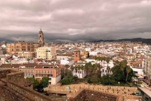 Malaga: Alcazaba und Römisches Theater Private Tour mit Tickets