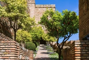 Malaga: tour privato dell'Alcazaba e del teatro romano con biglietti