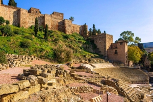 Malaga: Alcazaba and Roman Theatre Private Tour With Tickets
