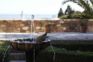 Malaga: Alcazaba and Roman Theatre Private Tour With Tickets