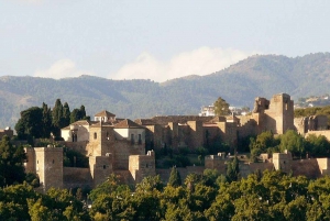 Málaga: Alcazaba, Cathedral, and Roman Theater Guided Tour