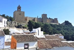 Málaga : Antequera visite guidée à pied