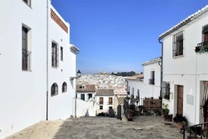 Málaga: Antequera Guided Walking Tour