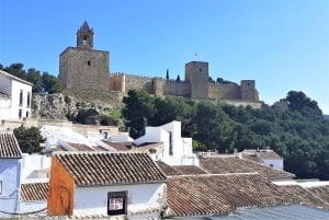 Málaga: Antequera Guided Walking Tour