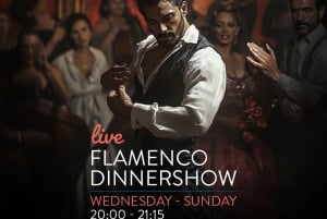 Malaga: Authentic Flamenco dinner show at Vino Mio