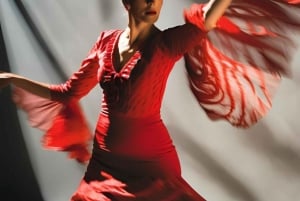 Malaga: Authentic Flamenco dinner show at Vino Mio