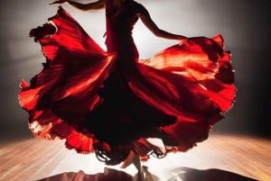 Malaga: Authentic Flamenco dinner show at Vino Mio