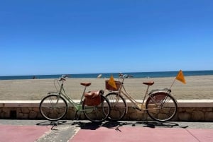 Málaga: Fahrradverleih für Stadtentdeckungstour & Strände