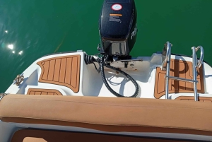 Malaga: Boat Rental without a License for Dolphin Watching