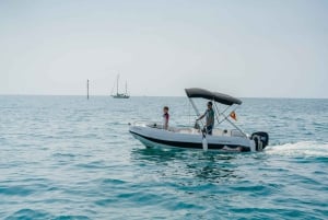 Malaga: Boat Rental without a License for Dolphin Watching
