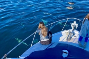 Malaga: wycieczka łodzią z nurkowaniem, atrakcjami wodnymi i lunchem