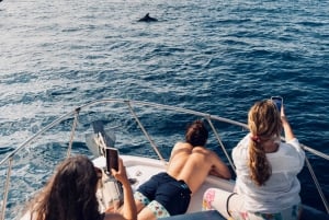 Málaga: Båttur med snorkling, vannaktiviteter og lunsj