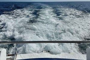 Malaga : Excursion en bateau avec plongée en apnée, activités nautiques et déjeuner