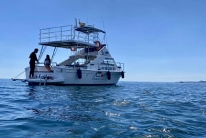 Málaga: Båttur med snorkling, vattenaktiviteter och lunch