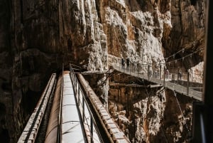 Málaga: Caminito del Rey och El Chorro klättringstur