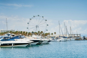 Málaga: Capitanea tu propio barco sin licencia