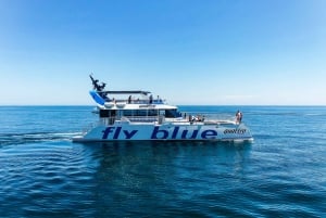Málaga: cruzeiro de catamarã com parada opcional para natação