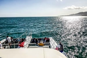 Málaga: Crucero en catamarán con parada opcional para nadar