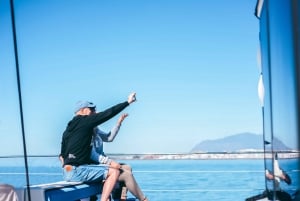 Malaga: crociera in catamarano con sosta per nuotare facoltativa