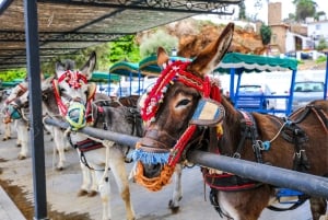 Málaga, passeio de catamarã e Mijas Pueblo
