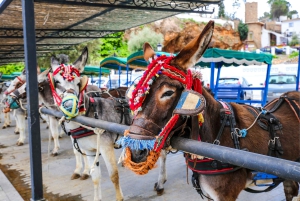 Malaga, Catamaran ride and Mijas Pueblo