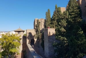 Málaga: Cathedral, Alcazaba, Roman Theatre Walking Tour