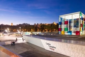 Malaga: Bilet do Centrum Pompidou w Maladze