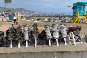 Visite du centre de Málaga