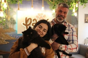 Malaga centro historico: Paws For A Moment Cat Cafe