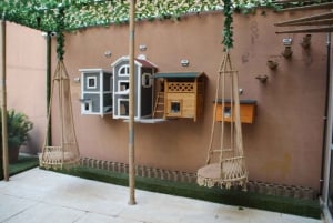 Malaga centro historico: Paws For A Moment Cat Cafe