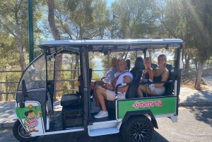 Malaga: Christmas Night Tour and Lights with Tuk Tuk