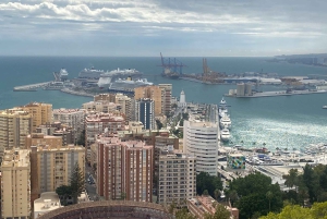 Malaga: Christmas Night Tour and Lights with Tuk Tuk