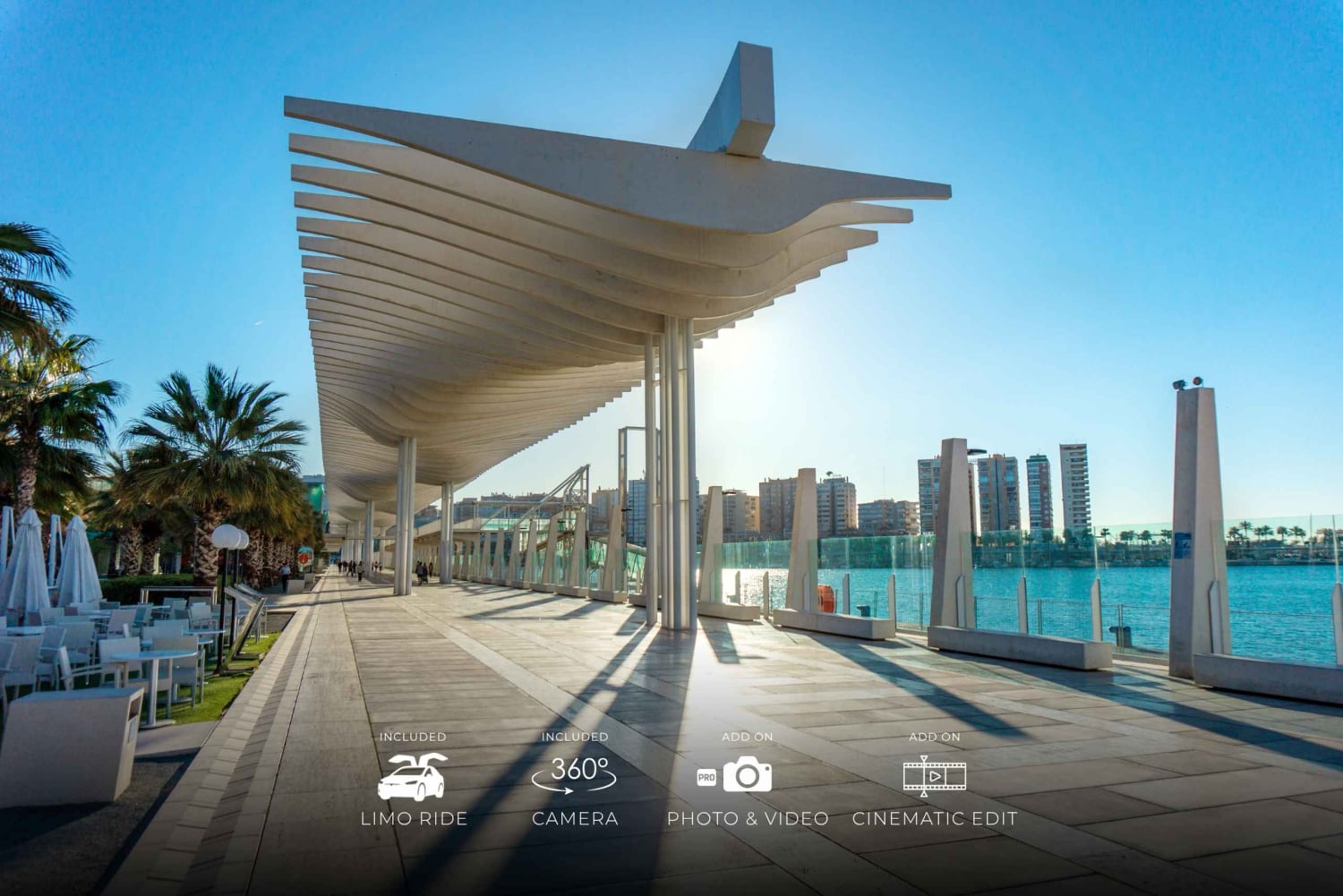 Málaga: Cinematic Experience with Tesla X & 360° Camera