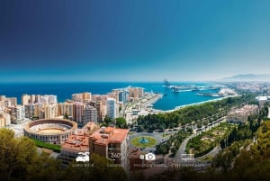 Málaga: Cinematic Experience with Tesla X & 360° Camera