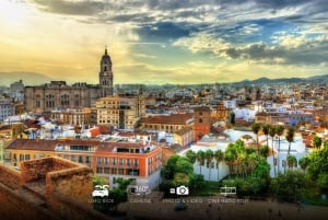 Málaga: Cinematic Experience with Tesla X & 360° Camera