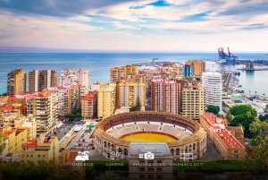 Málaga: Cinematic Experience with Tesla X & 360° Camera