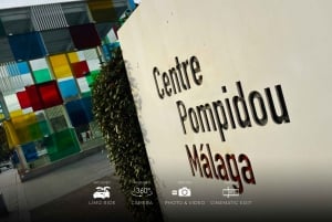 Málaga: Cinematic Experience with Tesla X & 360° Camera