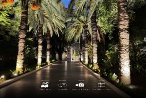 Málaga: Cinematic Experience with Tesla X & 360° Camera