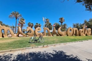 Malaga: City Bike Rental with Self-Guided Cycling Route