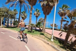 Malaga: City Bike Rental with Self-Guided Cycling Route